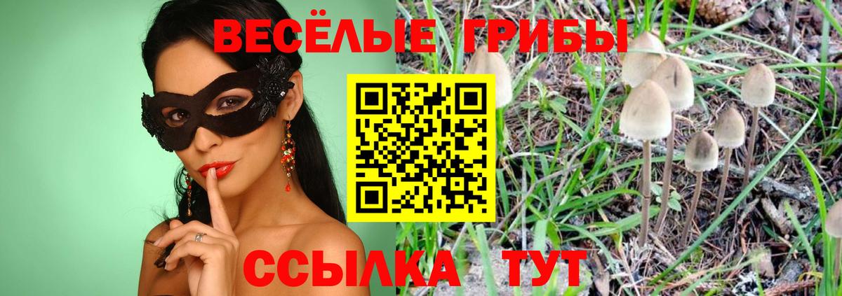Псилоцибиновые грибы Psilocybe  Вход с VPN  Новочебоксарск 